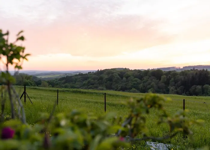 ベッド・アンド・ブレックファスト A La Source De Lavis